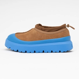 UGG Men Tasman Weather Hybrid Chestnut / Big Sky