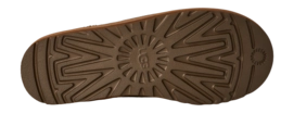 6---1173810-CHE_7-_no-bg