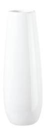 Vaas ASA Selection Ease White 23 x 60 cm