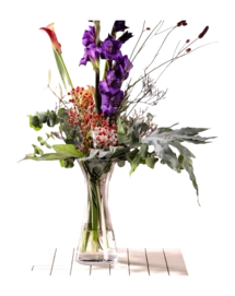 7---025372_6_K_f542b98f-5ce5-4627-8819-818a9d29ec61-_no-bg