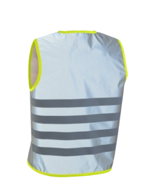 2---Fun-Jacket-FR-Yellow-Back-1