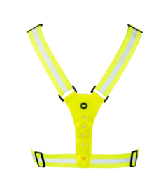 2---Nokta-Running-Belt-Back