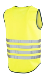 2---Big-Fun-Yellow-Back