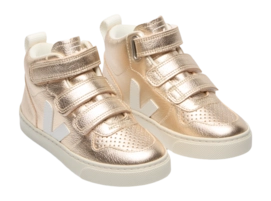 2---eeoDV0503037_2_large-_no-bg