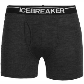 Boxer Shorts Icebreaker Men Anatomica Boxers wFly Jet Heather '22