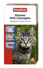 Anti-vlooienmiddel Beaphar Kleine Kat