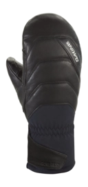 Want Dakine Unisex Galaxy Gore-Tex Mitt Black PrimaLoft Gold