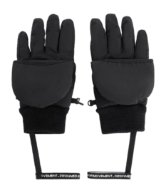 2---CM-BL-6