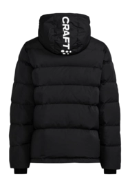 2---1913725-999000_Evolve Down Jacket W_Back-_no-bg