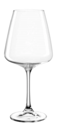 Witte Wijnglas Leonardo Paladino 540 ml (Set van 6)