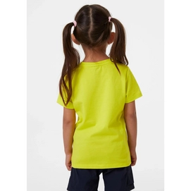 yellow2