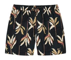 Zwembroek Barts Men Fervis Shorts Dark Grey Regular Fit