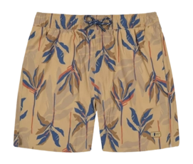 Zwembroek Barts Men Fervis Shorts Light Brown Regular Fit