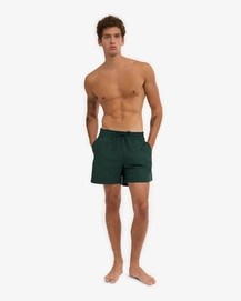 2---CS3010_Classic-Swim-Shorts_Emerald-Green_Male_2