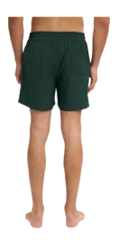 5---CS3010_Classic-Swim-Shorts_Emerald-Green_Male_5-_no-bg