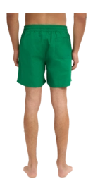 3---CS3010_Classic-Swim-Shorts_Kelly-Green_Male_4-_no-bg
