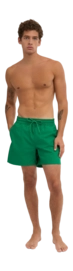 5---CS3010_Classic-Swim-Shorts_Kelly-Green_Male_2-_no-bg