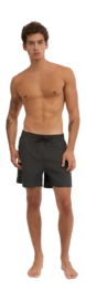 3---CS3010_Classic-Swim-Shorts_Lava-Grey_Male_2-_no-bg