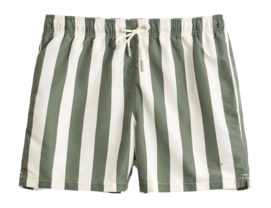 Zwembroek GANT Men Block Striped Swim Shorts Dry Herb Green Regular Fit