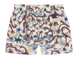 2---1668_02b1818efc-vireo-swim-shorts-904001-1527-98-multi-b-original