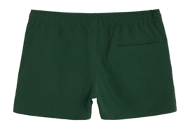 2---1644_29eb6ea4ed-calo-swim-shorts-201010-1602-59-dkgreen-b_-original-_no-bg