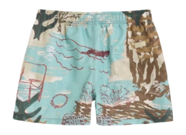 2---1655_c8ec614321-montara-swim-shorts-201001-1514-98-multi-b-original-_no-bg