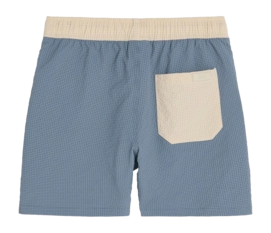 2---1666_9a14b146ae-rex-swim-shorts-201011-1602-24-b-original