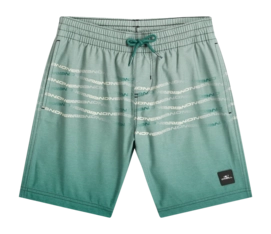 Zwembroek O'Neill Boys First Swimshorts Boys Green Heritage Flip Flop Regular Fit