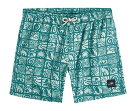 Zwembroek O'Neill Boys Print Swimshorts Blue Bricks Regular Fit
