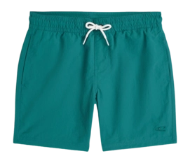 Zwembroek O'Neill Boys Vert Swimshorts Botanical Heat Regular Fit