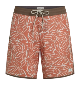 Zwembroek O'Neill Men Cruzer Scallop 18 Inch Langoustino Regular Fit