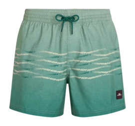 Zwembroek O'Neill Men First 15 Inch Swimshorts Green Heritage O'Neill Flip Flop Regular Fit