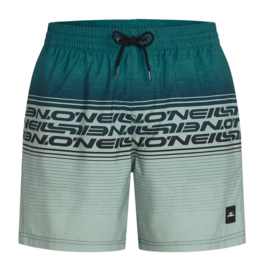 Zwembroek O'Neill Men Logo Stripe 16 Inch Swimshorts Green Heritage Stripe Regular Fit