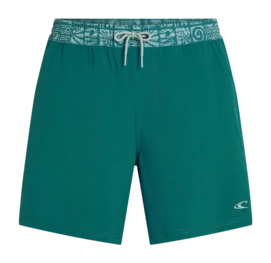 Zwembroek O'Neill Men Pocket Print 16 Inch Swimshorts Botanical Heat Regular Fit