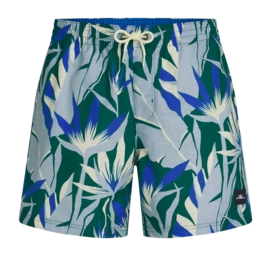 Zwembroek O'Neill Men Print 16 Inch Swimshorts Blue Tropicana Big Regular Fit