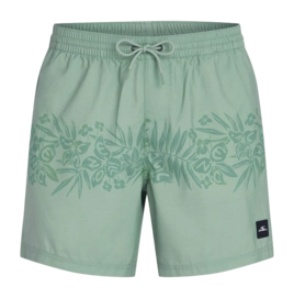 Zwembroek O'Neill Men Uni Flower 16 Inch Swimshorts Green Tropical Stripe Regular Fit