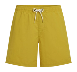 Zwembroek O'Neill Men Vert 16 Inch Swimshorts Angel Fern Regular Fit