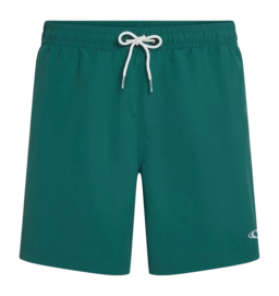 Zwembroek O'Neill Men Vert 16 Inch Swimshorts Botanical Heat Regular Fit