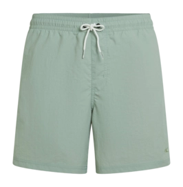 Zwembroek O'Neill Men Vert 16 Inch Swimshorts Marble Arch Regular Fit