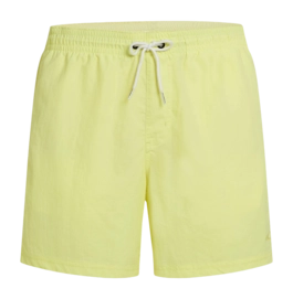Zwembroek O'Neill Men Vert 16 Inch Swimshorts Rainforest Dew Regular Fit