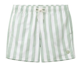 Zwembroek Shiwi Men MAC Broad Stripe Green Dust Stripe