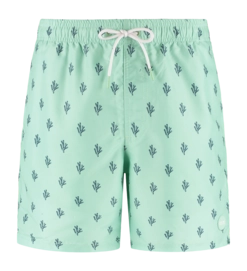 Zwembroek Shiwi Men Mike 7 Inch Green Jade Sketched Coral