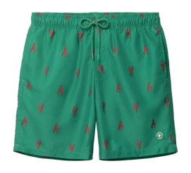Zwembroek Shiwi Men Mike 7 Inch Green Shiwi Pincher