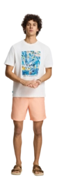 7---1525107100_2041_6