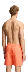 4---1525107100_2050_3-_no-bg