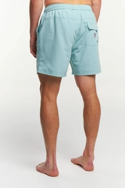 3---491_f2f386adcc_465018380-642_ocean_swim_shorts_m_back_6-1350x0
