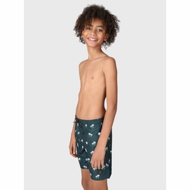 Zwemshort Boy Hestey AO Green 6