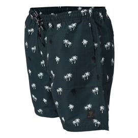 Zwemshort Men Roshan green 2