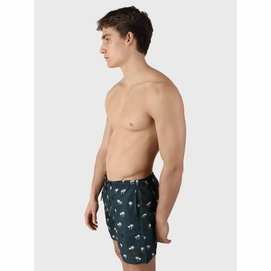 Zwemshort Men Roshan green 6