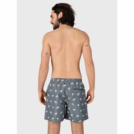 Zwemshort Men Roshan grijs 5